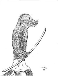 Anonymous Otter.JPG
