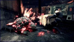 Fire drake image