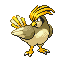 PidgeottoRFVH variocolor