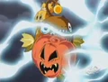 Umpkin Sweet Haboki Pilot