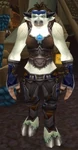 Halona Stormwhisper