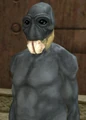 BruceMcBrain.png