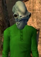 Erikson.png