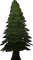 Evergreen tree.gif