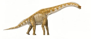 Giraffatitan DB.jpg