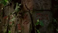 Hieroglyph 7.png
