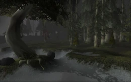 DarkshoreBeach