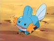 http://images1.wikia.nocookie.net/__cb20090221203803/es.pokemon/images/thumb/5/57/EP355_Mudkip_de_Brock.png/110px-EP355_Mudkip_de_Brock.png