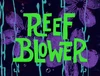 Reef Blower