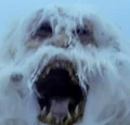 Wampas.jpg