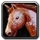 Ability mount ridinghorse