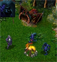 Tribu Shadowtooth.png