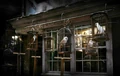 Diagon Alley - Eeylops Owl Emporium.jpg