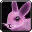 Inv misc rabbit 2.png