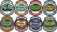 Bsaa.png