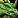 IconSmall DragonGreen.gif