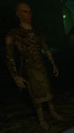 Pagan Shaman