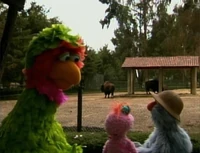 TrioZoo
