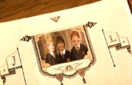 The Trio - Hermione Granger, Harry Potter and Ron Weasley