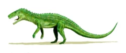 Euparkeria BW.jpg