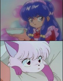 ranma shampoo