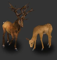 Venado.png