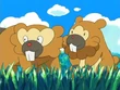 EP470 Bidoof y Bibarel