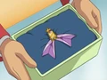 EP583 Cinta Chocovine