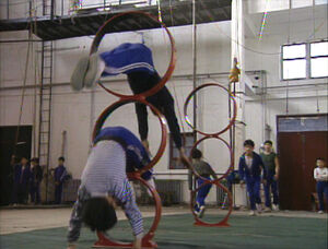 Acrobatschool