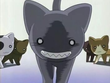 Kamineko Gang