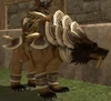Ykeshan Bear 4.jpg