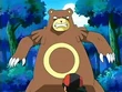 EP475 Ursaring