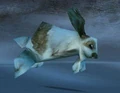 Fluffy.jpg