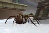 Terror Spinner