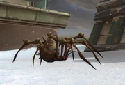 Terror Spinner
