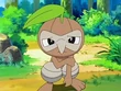 EP483 Nuzleaf herido