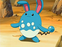 Azumarill de Paul/Polo