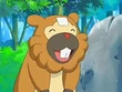 EP492 Bidoof