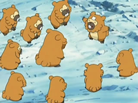 EP492 Colonia de Bidoof