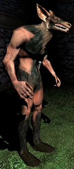 TDSGiantRat