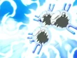 EP496 Magneton