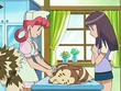 EP497 Furret siendo tratado