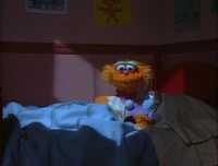 ZoeNewBed