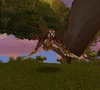 Windroc
