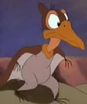 Petrie 2