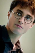 Harry Potter HP6D-01760r v2