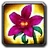 Spell shaman giftearthmother