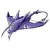 Mantaraymon b