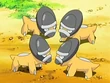 EP514 Shieldon
