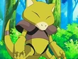 EP516 Abra de Maiza